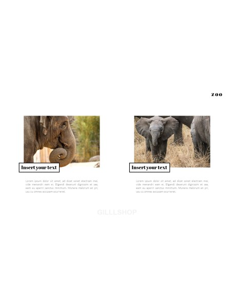 Zoo PowerPoint Templates for Presentation