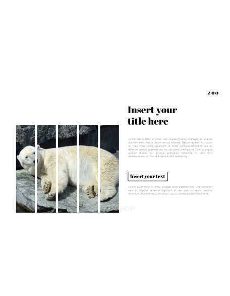 Zoo PowerPoint Templates for Presentation