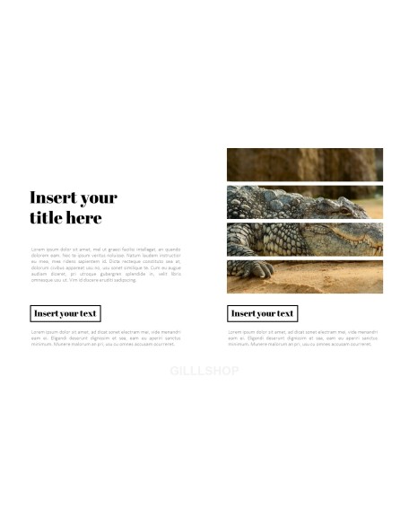 Zoo PowerPoint Templates for Presentation