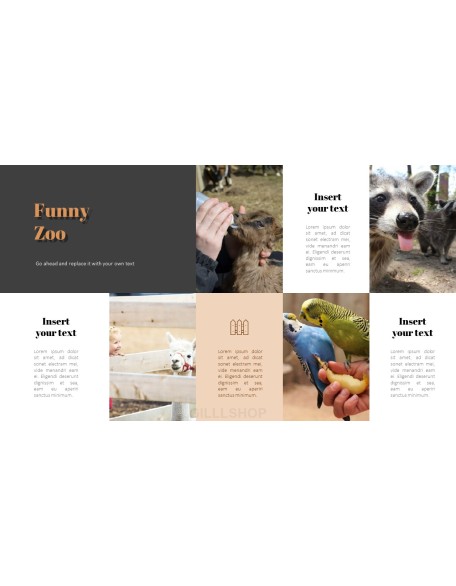 Zoo PowerPoint Templates for Presentation