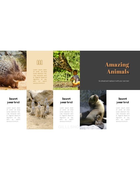 Zoo PowerPoint Templates for Presentation