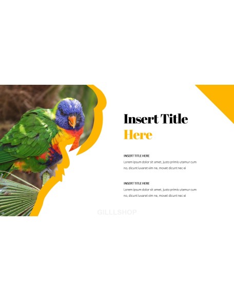 Parrot Best PowerPoint Templates