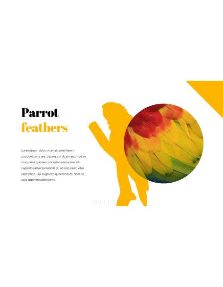 Parrot Best PowerPoint Templates