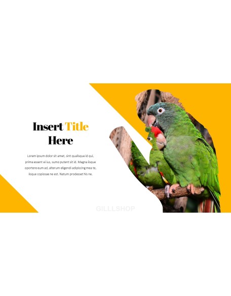 Parrot Best PowerPoint Templates