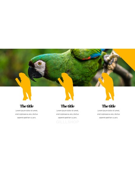 Parrot Best PowerPoint Templates