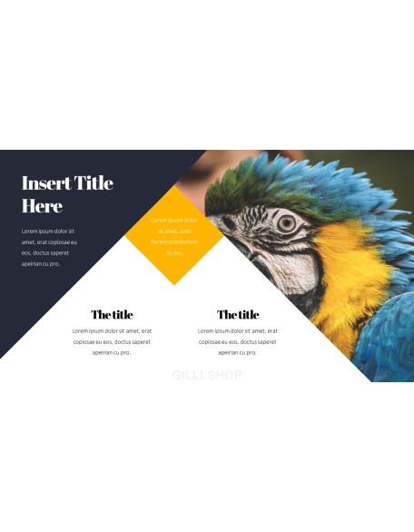 Parrot Best PowerPoint Templates