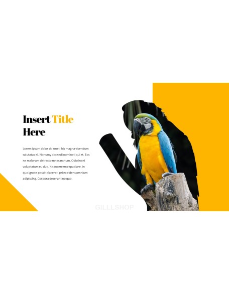 Parrot Best PowerPoint Templates