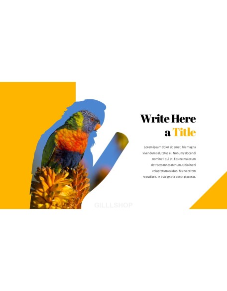 Parrot Best PowerPoint Templates