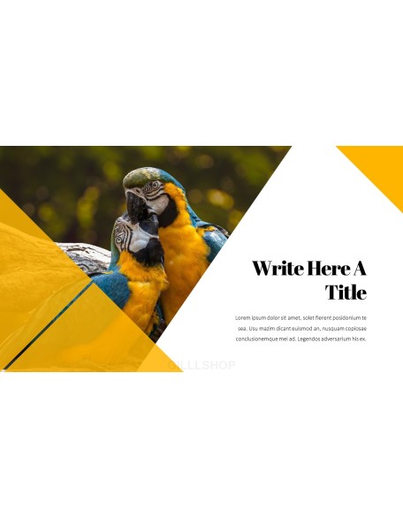 Parrot Best PowerPoint Templates