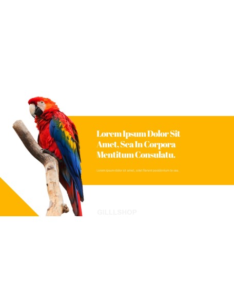 Parrot Best PowerPoint Templates