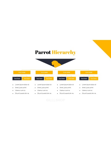 Parrot Best PowerPoint Templates