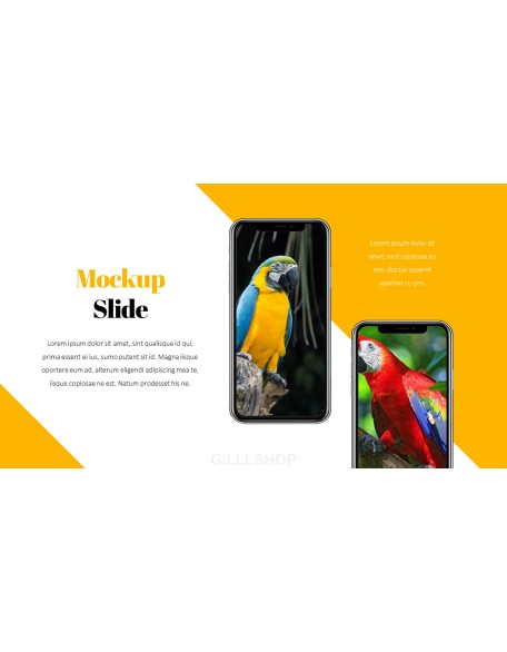 Parrot Best PowerPoint Templates