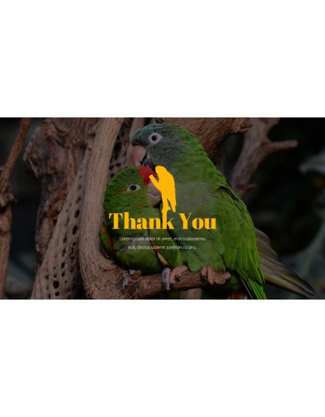 Parrot Best PowerPoint Templates