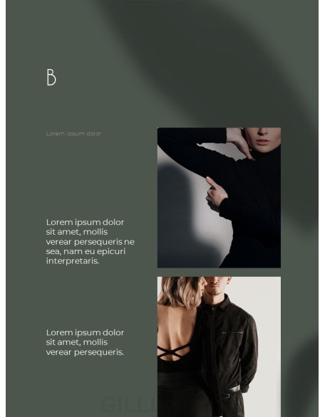 Shadow Concept Vertical ppt template