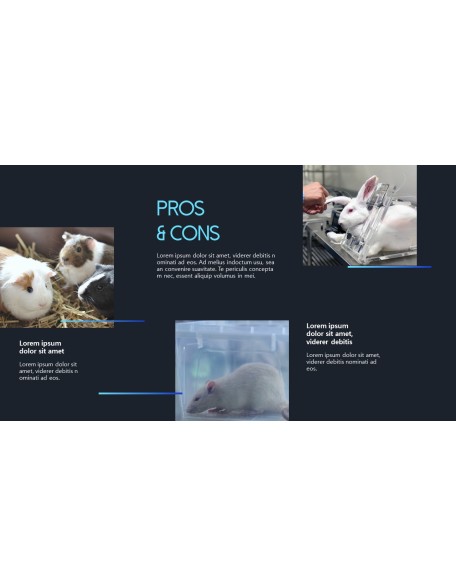 Stop Animal Testing Theme PPT Templates