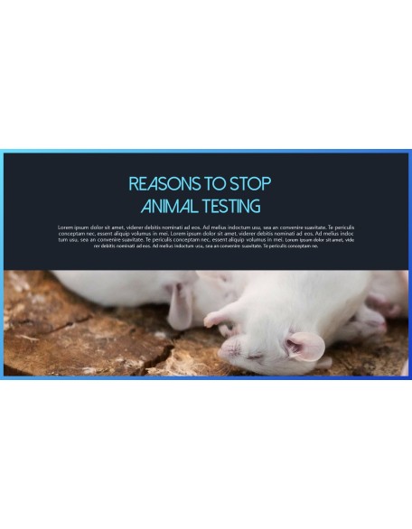 Stop Animal Testing Theme PPT Templates