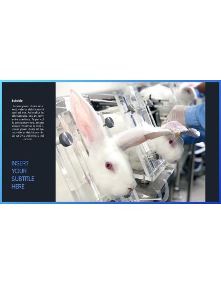 Stop Animal Testing Theme PPT Templates