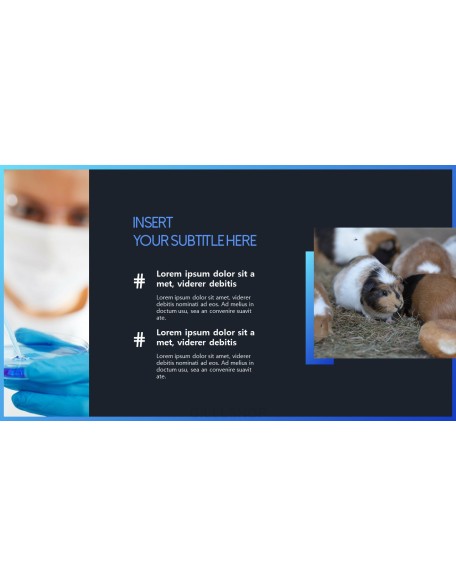 Stop Animal Testing Theme PPT Templates