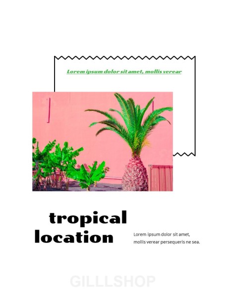 Colorful Tropical Concept PowerPoint Presentation Design