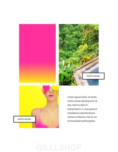 Colorful Tropical Concept PowerPoint Presentation Design