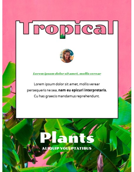 Colorful Tropical Concept PowerPoint Presentation Design