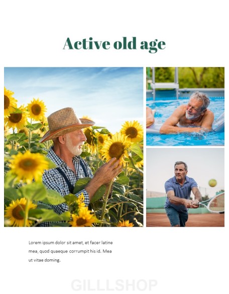 Active Old Age Action plan PPT