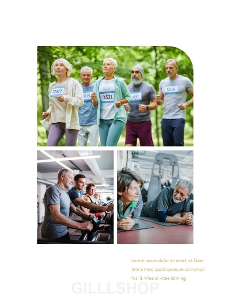 Active Old Age Action plan PPT