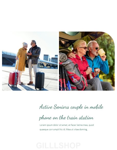 Active Old Age Action plan PPT