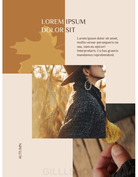 Stylish Autumn Business PPT