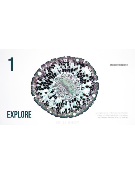 Microscopic World PowerPoint Design