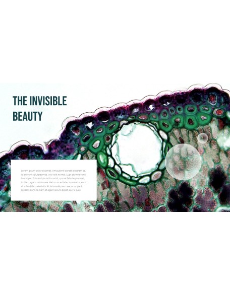 Microscopic World PowerPoint Design