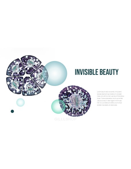 Microscopic World PowerPoint Design