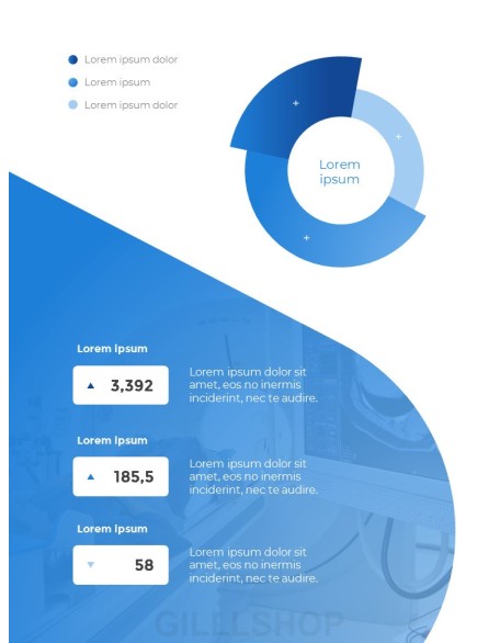 Medical Report Theme Templates