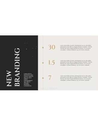 New Brand Marketing Slide Deck professional powerpoint presentation