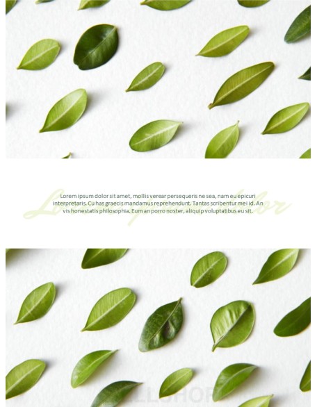 Greenery Vertical Slide Design Business Strategy PPT