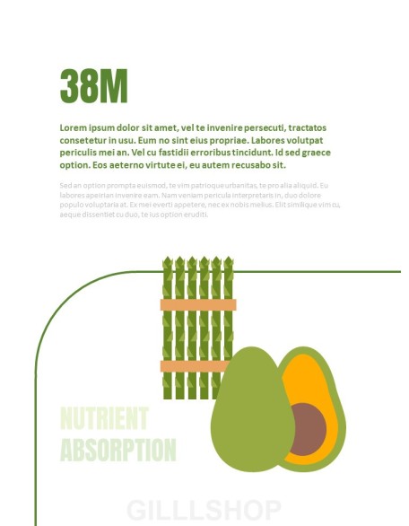 Healthy Infographics Vertical PPT Design Templates