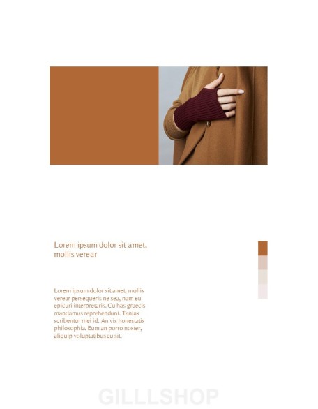 Fall Lookbook Abstract Design PowerPoint Table of Contents