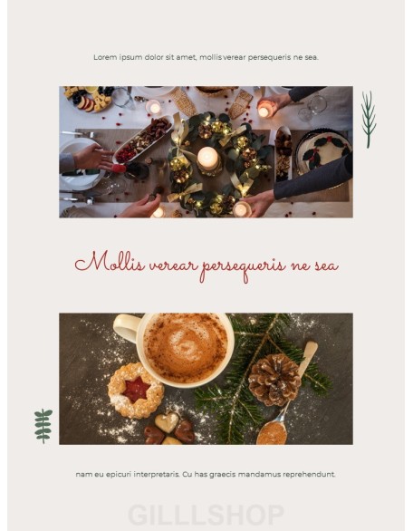 Merry Christmas Theme Design Template professional presentation