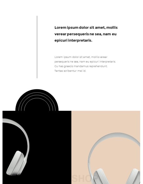 Music Vertical Template Design ppt ppt