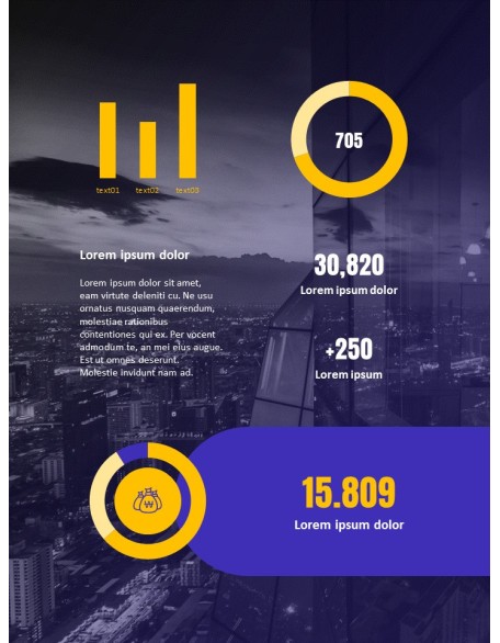 Financial Company Report Template Design PPT Model