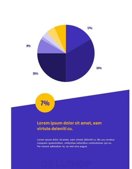 Financial Company Report Template Design PPT Model