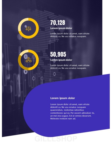 Financial Company Report Template Design PPT Model