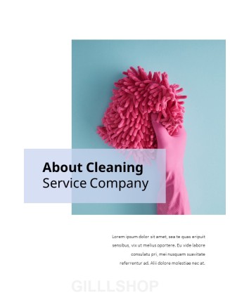 Cleaning Service Company PowerPoint Slides