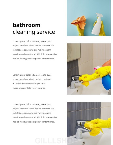 Cleaning Service Company PowerPoint Slides