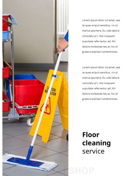 Cleaning Service Company PowerPoint Slides