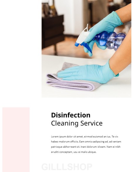 Cleaning Service Company PowerPoint Slides