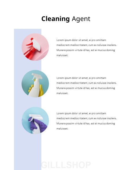 Cleaning Service Company PowerPoint Slides