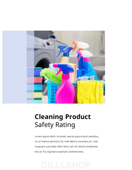 Cleaning Service Company PowerPoint Slides