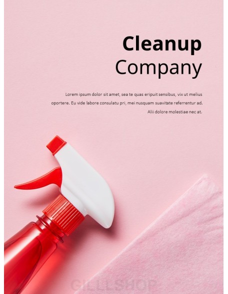 Cleaning Service Company PowerPoint Slides