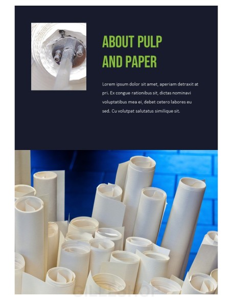 Pulp and Paper Industry Startup PPT Templates